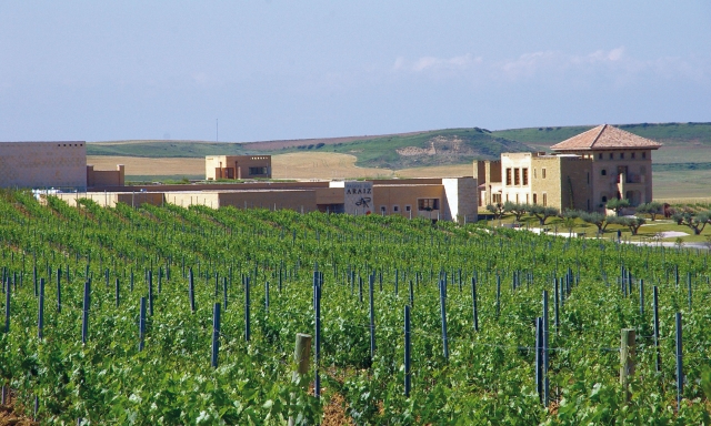 Vinedo de Pagos